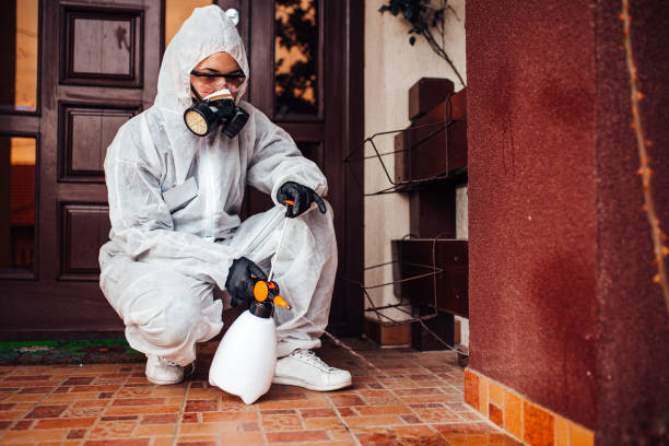 Reliable Cockroach Control contractor in Cullowhee, NC by Nex Pest Control